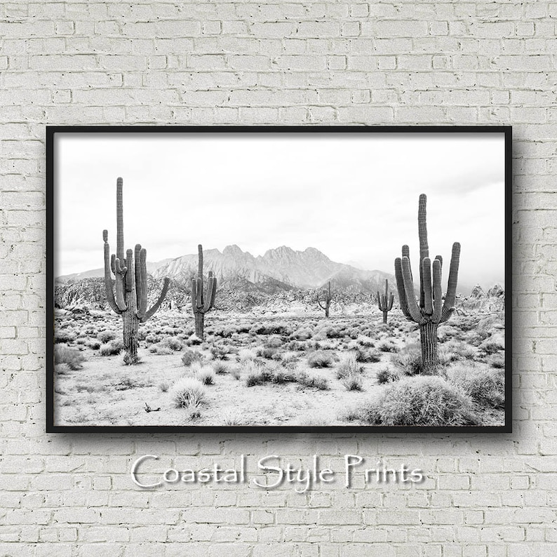 May include: Black and white photograph of a desert landscape with tall cacti in the foreground and a mountain range in the background.
