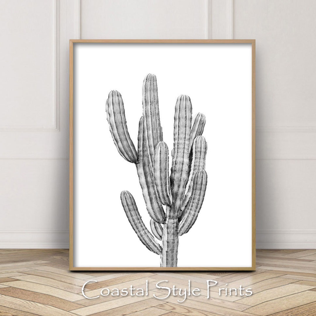 Black and White Wall Art, Cactus Print,printable Wall Art,cactus Wall ...