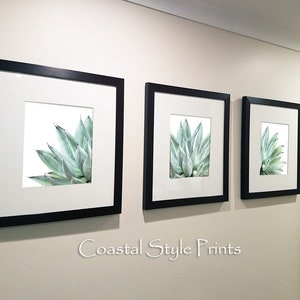 Pu&ograve; includere: Tre stampe incorniciate di una pianta di agave verde su sfondo bianco. Le stampe sono disposte in fila su una parete beige chiaro. Il testo "Coastal Style Prints" &egrave; visibile sotto le stampe.