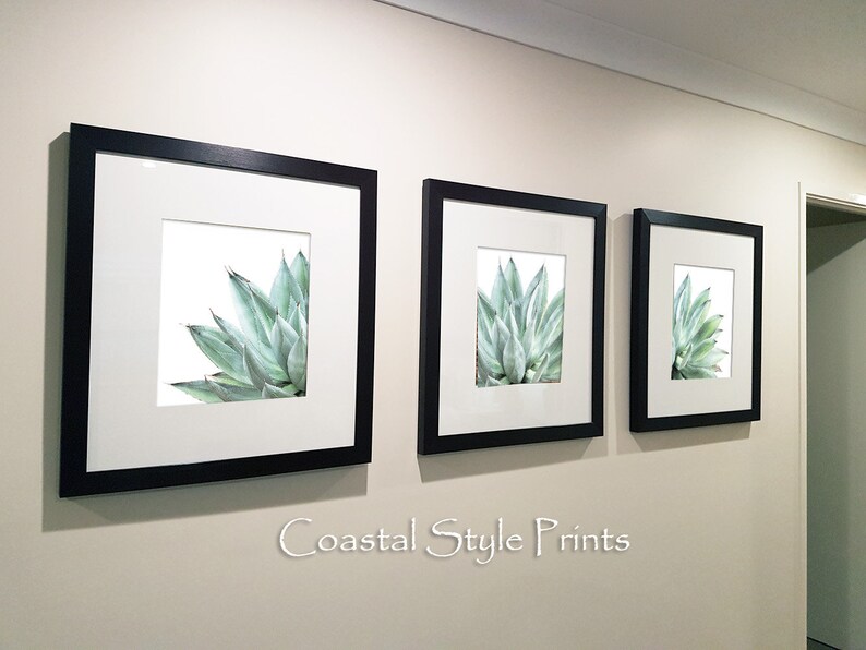 Pu&ograve; includere: Tre stampe incorniciate di una pianta di agave verde su sfondo bianco. Le stampe sono disposte in fila su una parete beige chiaro. Il testo "Coastal Style Prints" &egrave; visibile sotto le stampe.