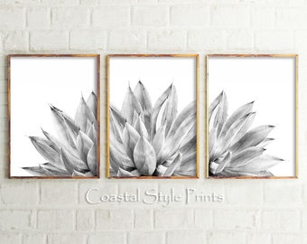 Black and White Wall Art Set Agave Prints Wall Art Botanical Print Set Cactus Print Cactus Wall Art Printable Art Set Of 3 Bedroom Prints