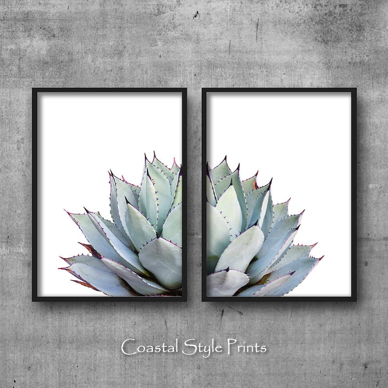 Cactus Print Set, Modern Home Decor, Set Of 2 Prints Botanical Print Desert Art Cactus Wall Art, Bathroom Wall Art Prints, Bedroom Wall Art image 2