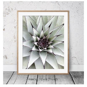 Kaktus, Kaktus Druck, Sukkulent, Sukkulenten Druck, Kaktus Wandkunst, Grüner Druck, Scandi, Kaktus Kunst, Kaktus Poster, Kaktus Fotografie Kunst