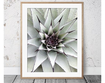 Cactus, Cactus Print, Succulent, Succulent Print, Cactus Wall Art, Green Print, Scandi, Cactus Art, Cactus Poster, Cactus Photography Art
