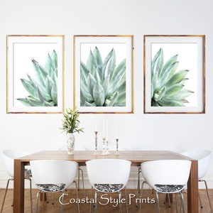 Pu&ograve; includere: Tre stampe incorniciate di una pianta di agave verde su sfondo bianco. Le stampe sono disposte in fila su una parete bianca sopra un tavolo di legno con sedie bianche.