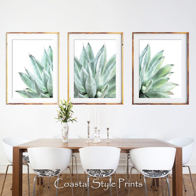 Pu&ograve; includere: Tre stampe incorniciate di una pianta di agave verde su sfondo bianco. Le stampe sono disposte in fila su una parete bianca sopra un tavolo di legno con sedie bianche.