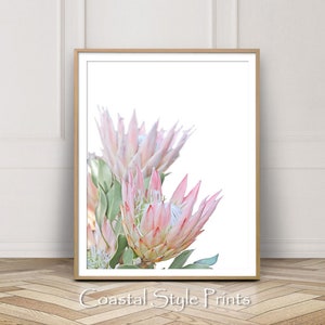 Protea Flower Print, Flower Wall Art, Digital Download, Bedroom Decor, Pink Wall Art, Blush Pink Print, Protea Flower Poster, Floral Art