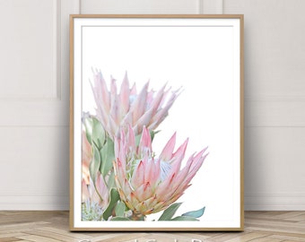 Protea Flower Print, Flower Wall Art, Digital Download, Bedroom Decor, Pink Wall Art, Blush Pink Print, Protea Flower Poster, Floral Art