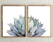 Printable Cactus Art, Cactus Set Of 2 Prints, Modern Home Decor, Botanical, Desert Art, Cactus Wall Art, Wall Art Prints, Bedroom Wall Art
