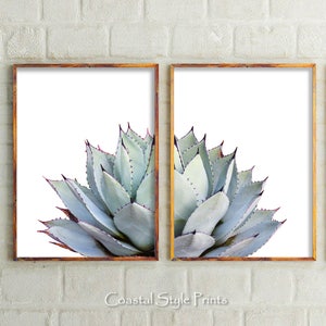 Cactus Print Set, Modern Home Decor, Set Of 2 Prints Botanical Print Desert Art Cactus Wall Art, Bathroom Wall Art Prints, Bedroom Wall Art