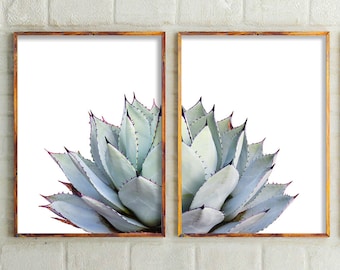 Modern Home Decor, Set Of 2 Prints Botanical Print Desert Art Cactus Print Set Bathroom Wall Art Prints, Bedroom Wall Art