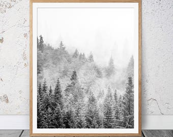 Black and White Forest Print, Scandi Decor, Landscape Photography, Landscape, Wall Art, Black and White Photography Prints, Nordic  Print