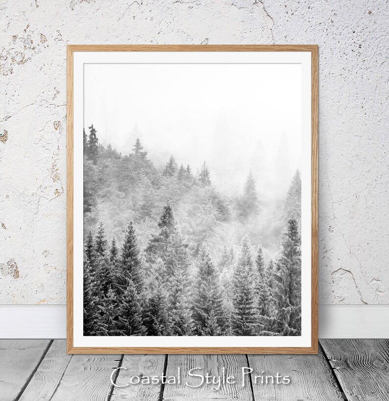 May include: A black and white photograph of a misty forest with tall trees. The image has a soft, ethereal feel.