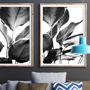 Black and White Prints, Banana Leaves Print, Set Of 2 Modern Wall Art, Black and White Wall Art, Botanical Art, Poster Print, Leaf Print image 1