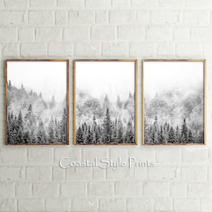 Black and White Wall Art, Forest Photography, Large Wall Art, Black and White Print, Wilderness Print, Forest Print,Printable Poster, Scandi