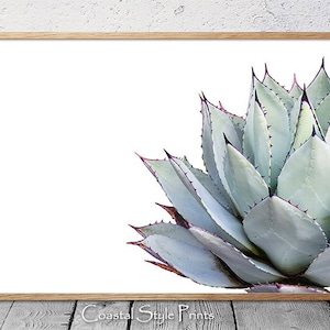 Landscape orientation, Cactus Print, Succulent, Cactus, Gray, Aqua, Succulent Print, Botanical Print, Wall Art, Poster, Cactus Poster, #108