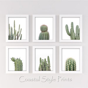 Cactus Art Set, Set Of 6 Succulents, Cactus Wall Art, Cactus Print,Modern Wall Decor,Botanical Print Set,Modern Minimal Art, Australia image 1