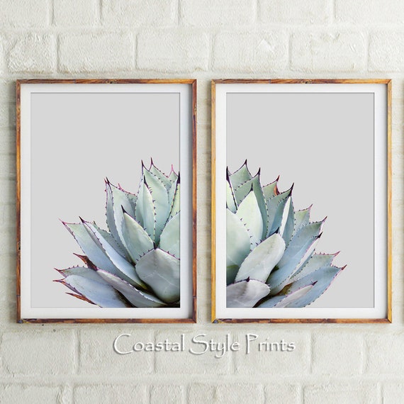 Set Of 2 Printscactus Printcactus Artbotanical Print Image 0