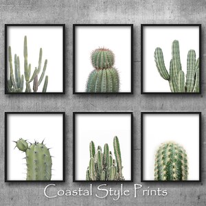 Cactus Art Set, Set Of 6 Succulents, Cactus Wall Art, Cactus Print,Modern Wall Decor,Botanical Print Set,Modern Minimal Art, Australia image 2