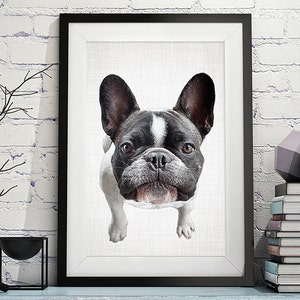 Impresión de bulldog francés, impresión de perro, impresión de animal, arte divertido, fotografía de bulldog, arte de perro, arte de pared de bulldog, póster de bulldog francés, fotografía de perro
