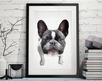 French Bulldog Print, Dog Print, Animal Print, Funny Art, Bulldog Photography, Dog Art, Bulldog Wall Art, Frenchie Poster, Dog Photography