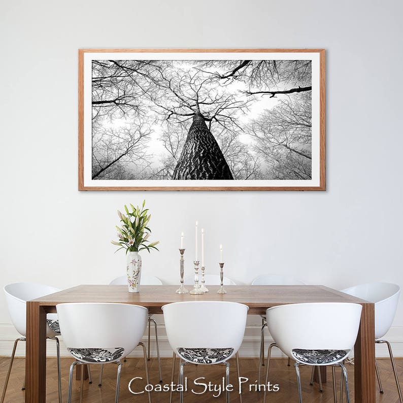 Winter Trees Print, Landscape Print, Digital Download, Black and White Photography, Panorama Art Print, Office Wall Art, Prints, Trees, Fall image 4