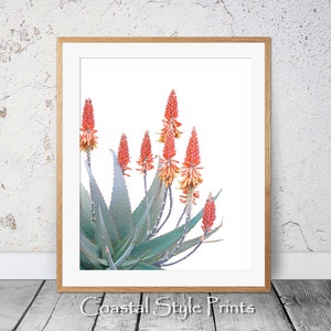 Red Hot Poker Cactus Print, Succulent Wall Art,Cactus Print,Australia Art Prints,Aqua Wall Art,Cactus Poster,Red Orange Flowers, Printable