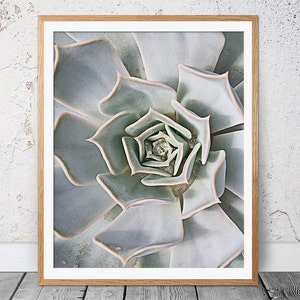 Kaktus Druck, Sukkulenten Druck, Botanische Kunst, Kaktus Kunst, Moderne Wanddekoration, Geometrische Kunst, Kaktus Poster, Kaktus Fotografie, Kaktus Kunst