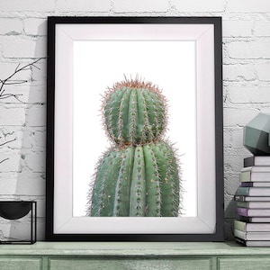 Kaktus Druck, Sukkulenten Kunst, Kaktus Wandkunst, Wüsten Wanddekor, Boho Wandkunst, Wüsten Kunst, Botanische Kunst, Kaktus Poster, Kaktus Fotografie