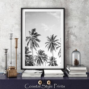 May include: Black and white photograph of palm trees against a cloudy sky. The image is framed in a black frame and displayed on a shelf with other decor.