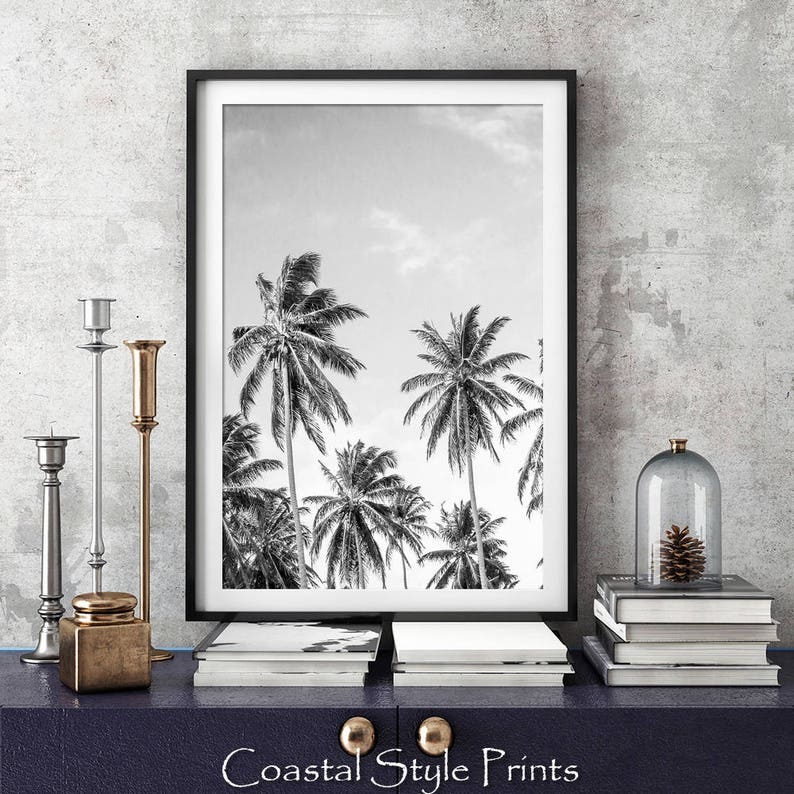 May include: Black and white photograph of palm trees against a cloudy sky. The image is framed in a black frame and displayed on a shelf with other decor.
