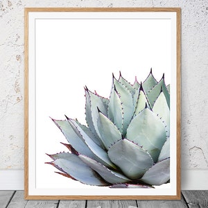 Cactus Print, Cactus Wall Art, Succulent Print, Cactus Wall Decor, Botanical Print,Cactus Art,Coastal Poster,Agave Print,Cactus Photography image 1