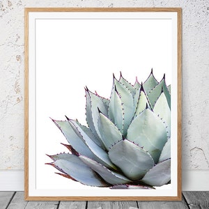 Impresión de cactus, arte de pared de cactus, impresión suculenta, decoración de pared de cactus, impresión botánica, arte de cactus, póster costero, impresión de agave, fotografía de cactus