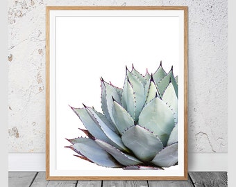 Cactus Print, Cactus Wall Art, Succulent Print, Cactus Wall Decor, Botanical Print,Cactus Art,Coastal  Poster,Agave Print,Cactus Photography