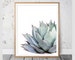 Cactus Print,Succulent Print,Cacti Print,Cactus Wall Decor,Botanical Print,Cactus Art,Coastal,Wall Art,Poster,Agave Print,Cactus Photography 