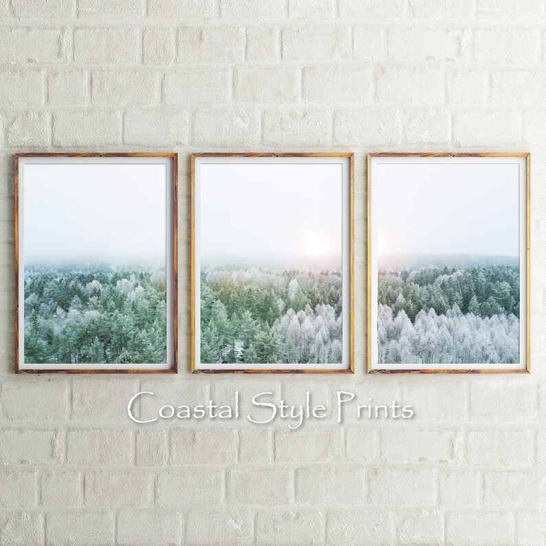 May include: Three framed prints of a snowy forest scene. The prints are in a light wood frame and feature a soft, muted color palette of white, green, and blue.