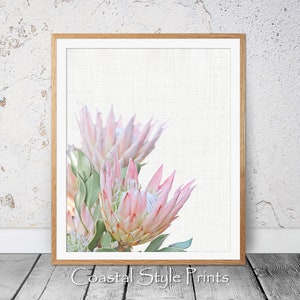 Protea Print Flower Print Printable Protea Art Wall Art Blush Pink Print Protea Flower Photography Poster Pale Pink Floral Wall Art