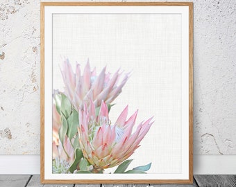 Protea Print Flower Print Printable Protea Art Wall Art Blush Pink Print Protea Flower Photography Poster Pale Pink Floral Wall Art