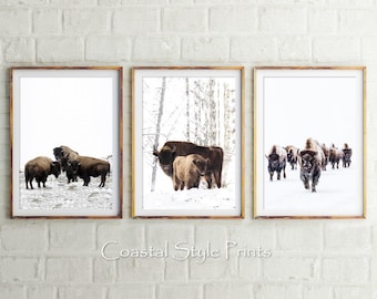 Bison Set Of 3 Prints, Bison Print, Digital Prints, Animal Wall Art, Buffalo Print, Buffalo Poster, American Bison Print, Neutral Wall Decor