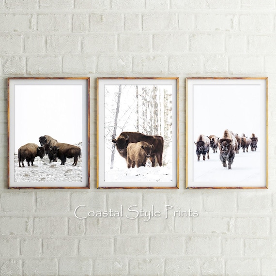 Bison Set Of 3 Prints, Bison Print, Digital Prints, Animal Wall Art, Buffalo Print, Buffalo Poster, American Bison Print, Neutral Wall Decor
