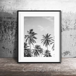 May include: Black and white photograph of palm trees against a cloudy sky. The image is framed in a black frame with a white mat.