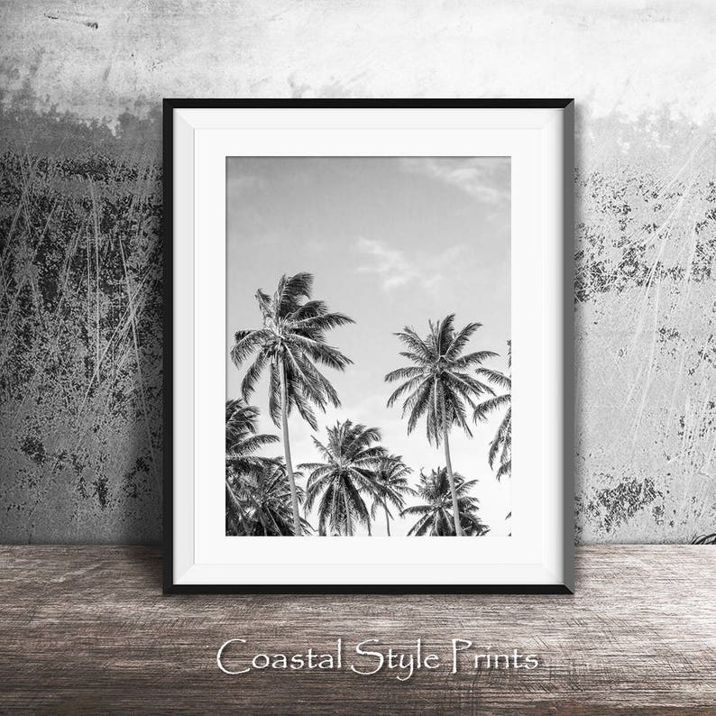 May include: Black and white photograph of palm trees against a cloudy sky. The image is framed in a black frame with a white mat.