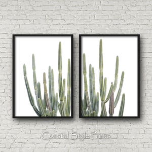 May include: Two framed prints of a group of green cactus plants against a white background. The prints are in black frames.