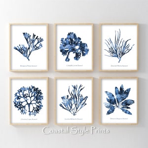 Coastal Gallery Wall, Hamptons Print, 6 Piece Print Set, Printable Wall Art, Beach Print Navy Blue Nautical, Gallery Wall Decor, Coral Print