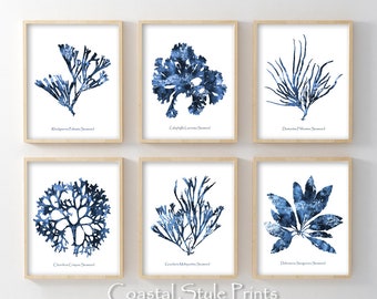 Coastal Gallery Wall, Hamptons Print, 6 Piece Print Set, Printable Wall Art, Beach Print Navy Blue Nautical, Gallery Wall Decor, Coral Print