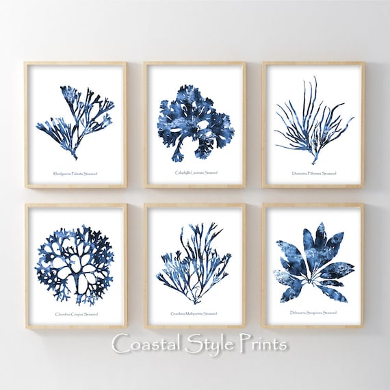 Hamptons Wall Art Set Of 6 Prints Coral 