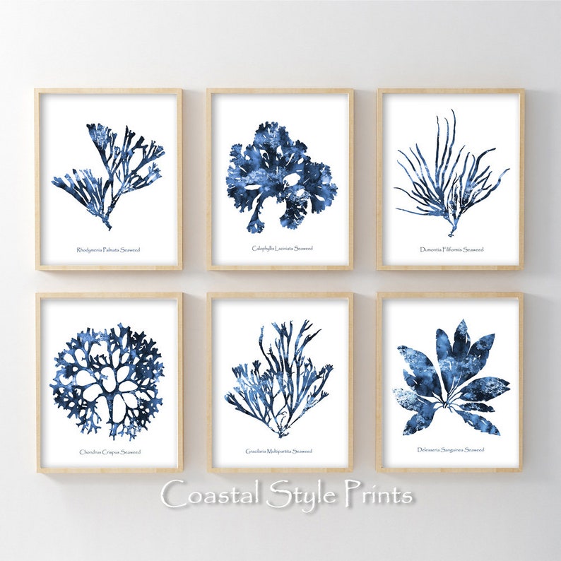 Hamptons Wall Art Set of 6 Prints Coral Print Set Coastal Etsy Australia