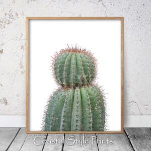 Kaktus Wandkunst, Sukkulenten Kunst, Kaktus Wanddekoration, Boho Wandkunst, Wüstenwanddekor Botanische Kunst, Kaktus Poster, Grüner Kaktus Fotografie