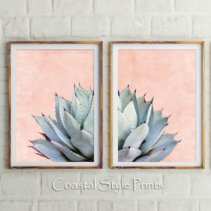 Blush Pink Cactus Prints, Desert Cactus Print, Printable Wall Art, Botanical Print, Cactus Wall Art, Modern Decor Print, Bathroom Wall Decor image 1