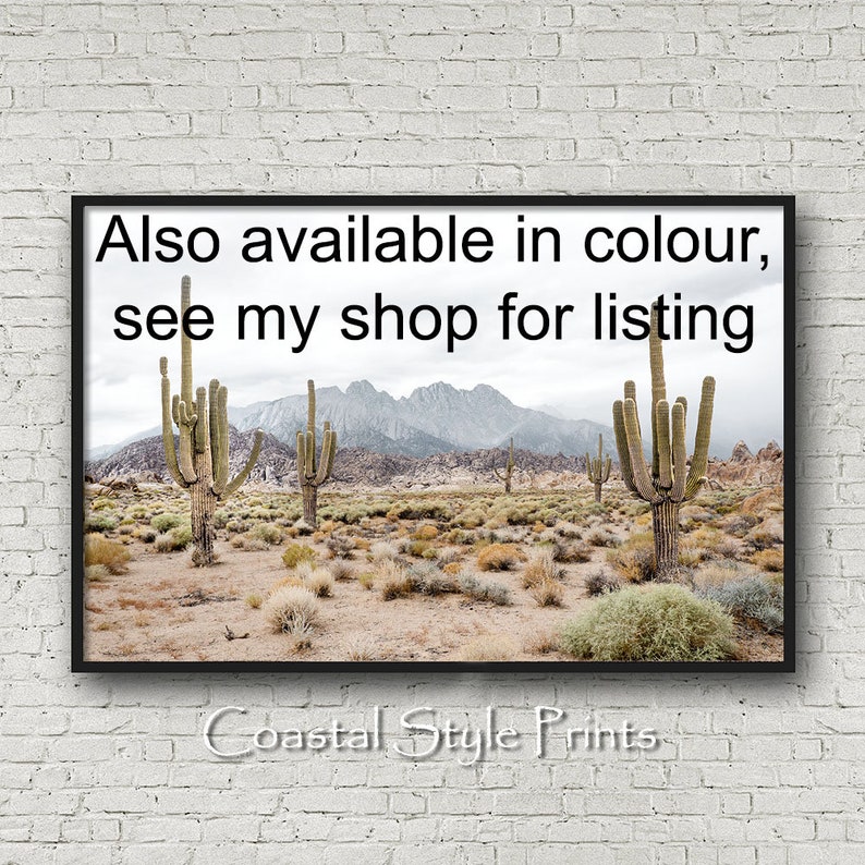 May include: A black and white photograph of a desert landscape with tall cacti in the foreground and mountains in the background. The text "Also available in colour, see my shop for listing" is at the top of the image.